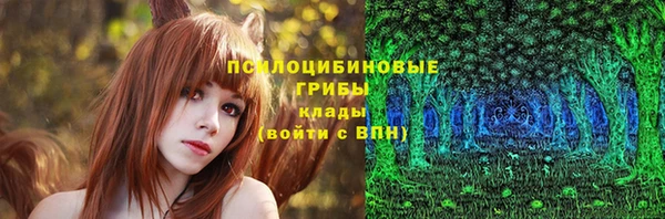 тгк Пролетарск