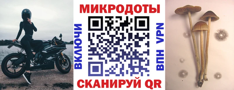 Псилоцибиновые грибы Magic Shrooms  mega рабочий сайт  Моршанск 