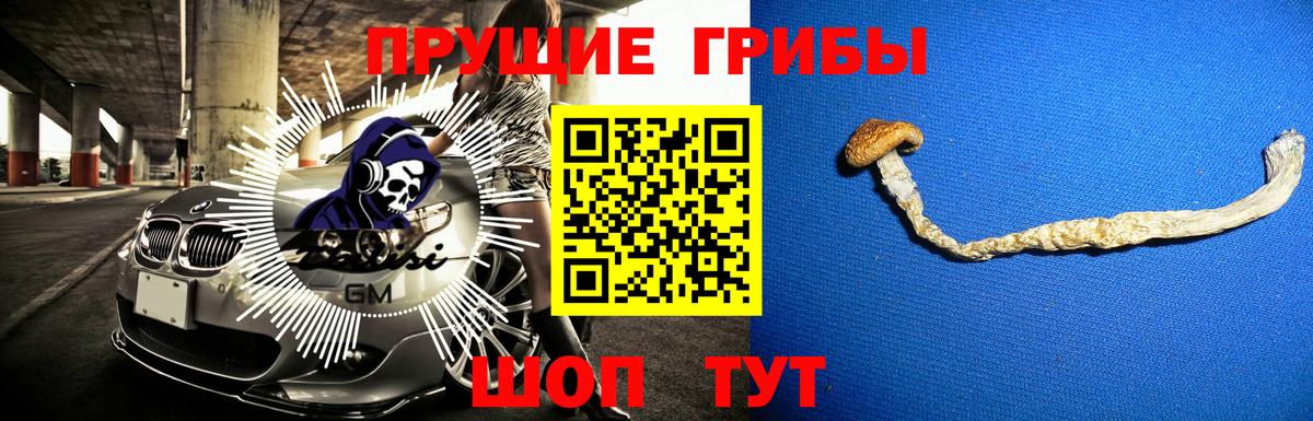 Моршанск  Псилоцибиновые грибы Magic Shrooms  Вход с VPN  Псилоцибиновые грибы Psilocybe 